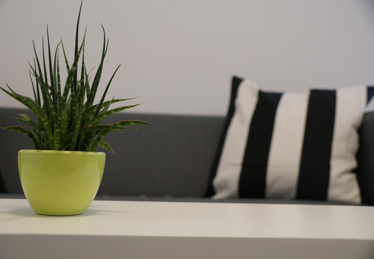 Apartment Seven Ringsheim Extérieur photo